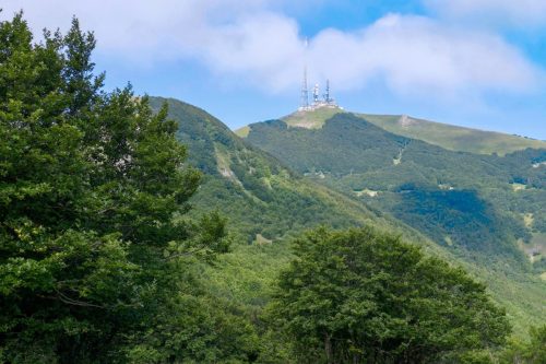 Monte Nerone
