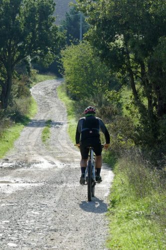 Sulla strada del ritorno