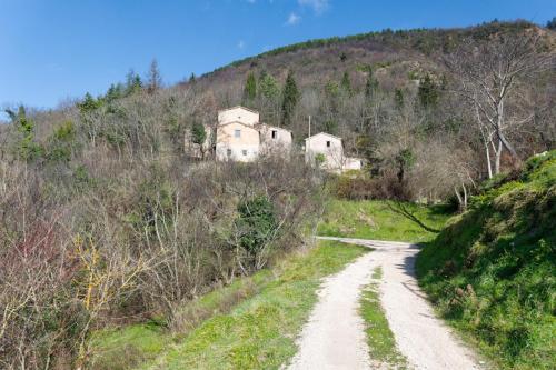Borgo