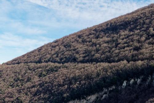Versante est del M. Paganuccio