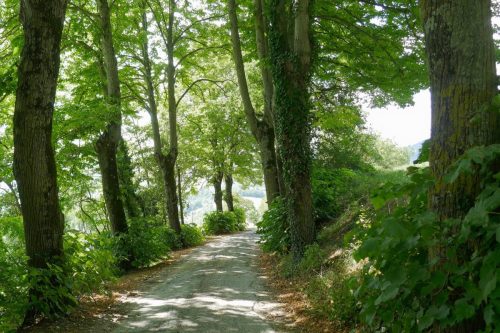 la strada del ritorno