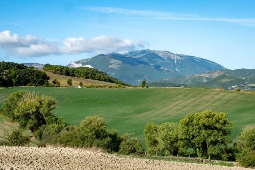 Verso il Monte Nerone