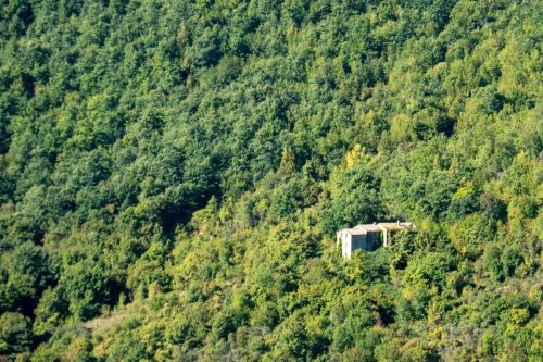 casa nel bosco