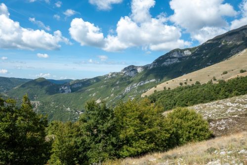 Campo d'Ajo