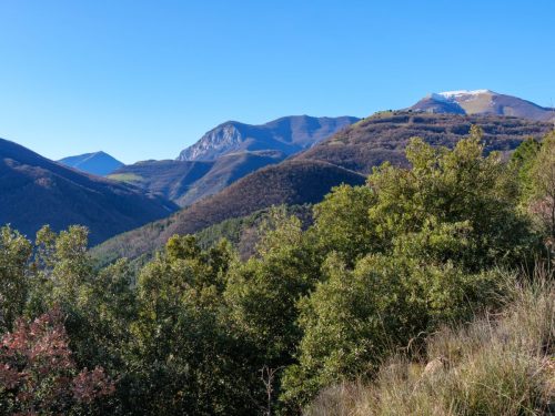 Monte Catria