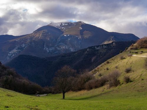 Monte Catria
