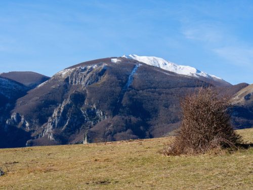 Monte Acuto