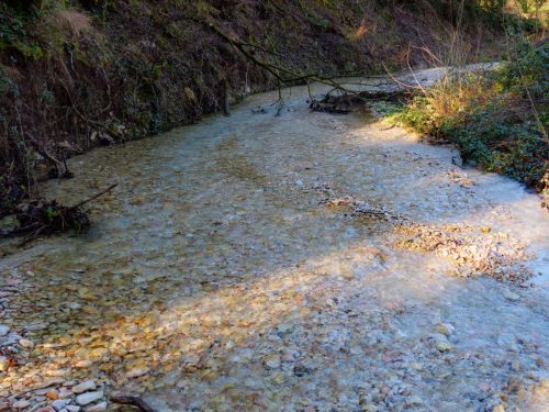 Fiume Mandrale