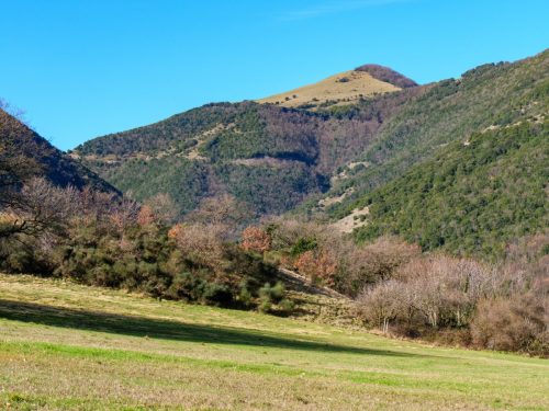 Monte Campifobio