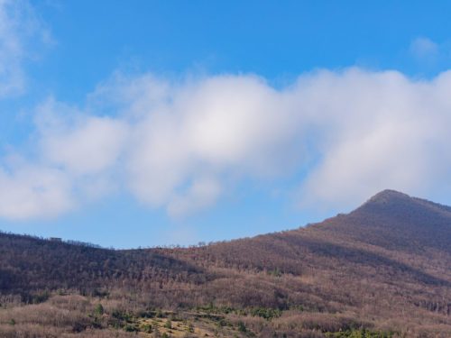 Monte Petria
