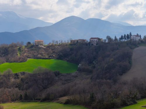 Casale