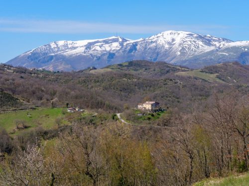 Monte Nerone