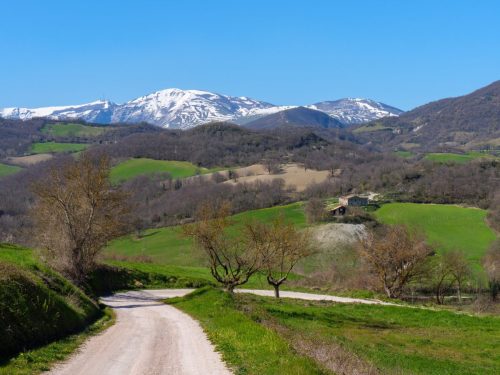 Monte Nerone