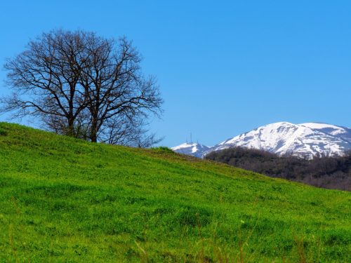 Monte Nerone
