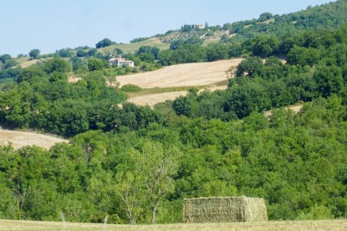 Verso S. Giovanni in Offago