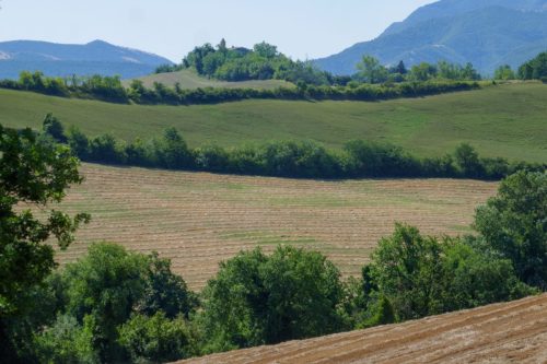 Verso S. Angelo in Maiano