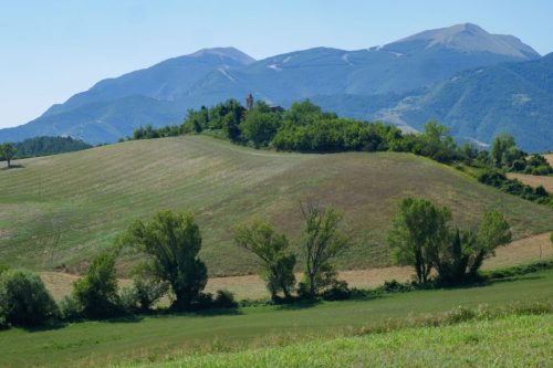 Verso S. Angelo in Maiano