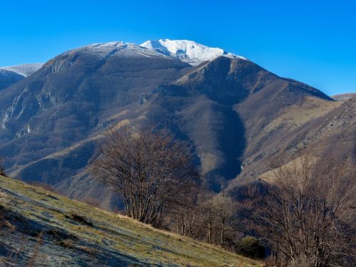 Monte Acuto