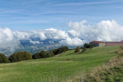 Nuova colonia